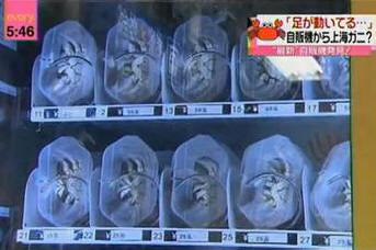 10 cose straordinarie che puoi acquistare in Cina