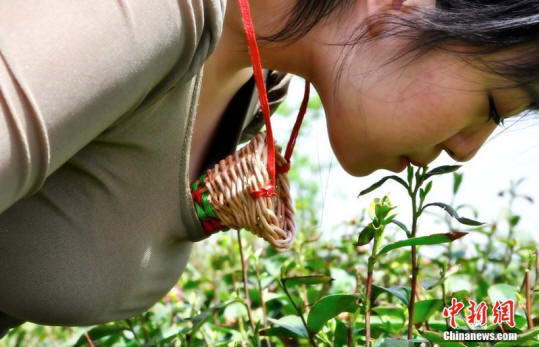 wierdchina10 10 cose straordinarie che puoi acquistare in Cina