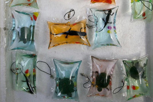 wierdchina08 10 cose straordinarie che puoi acquistare in Cina