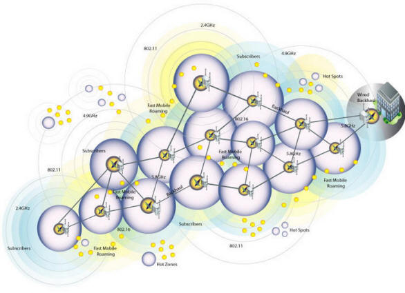 Strix-maglia-EETimes