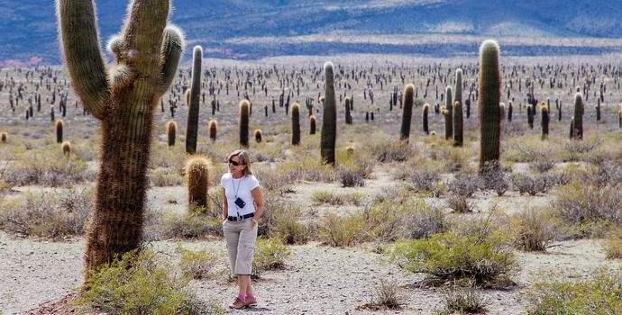 Gli americani scompaiono senza lasciare traccia nei loro parchi nazionali