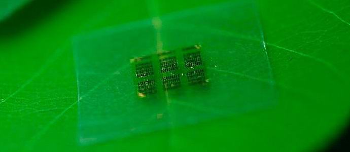 Gli americani creeranno transistor biodegradabili