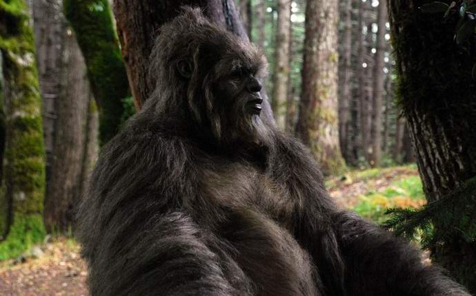 L'americano filmato con il drone di un bigfoot