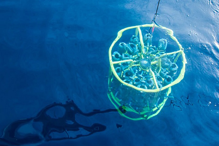 L'esercito americano sperimenta di nuovo con i batteri