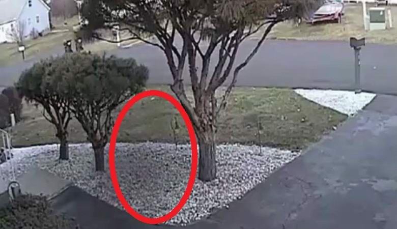 I giornalisti americani hanno mostrato un fantasma