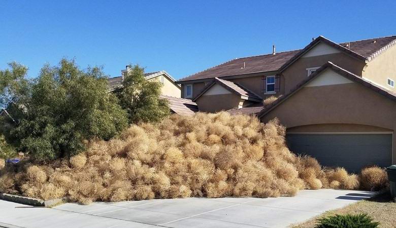 Città americana in modo massiccio