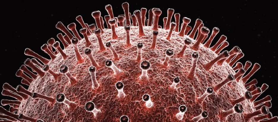 L'analisi del genoma rivela che il coronavirus potrebbe essere una 