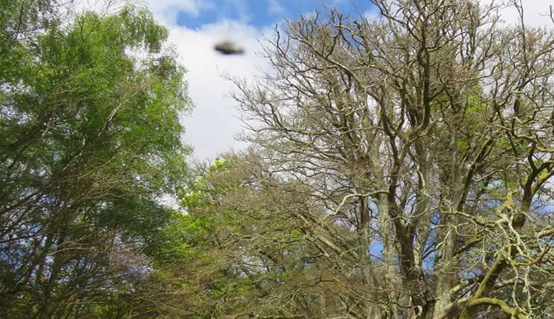 L'inglese chiaramente fotografato