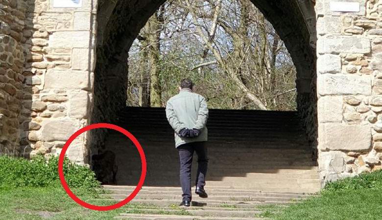 L'inglese ha catturato una creatura incomprensibile nel parco