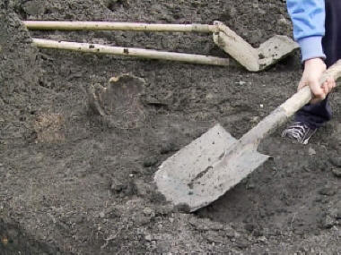 Gli scienziati inglesi hanno trovato tracce di un uomo che ha almeno 800 mila anni