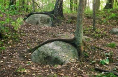 Centro anomalo della Terra