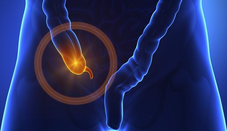 L'appendice ha dimostrato di essere un organo vitale