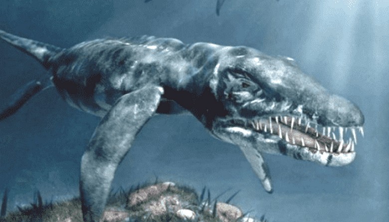 Il Plesiosaurus argentino ha colpito il video dei pescatori