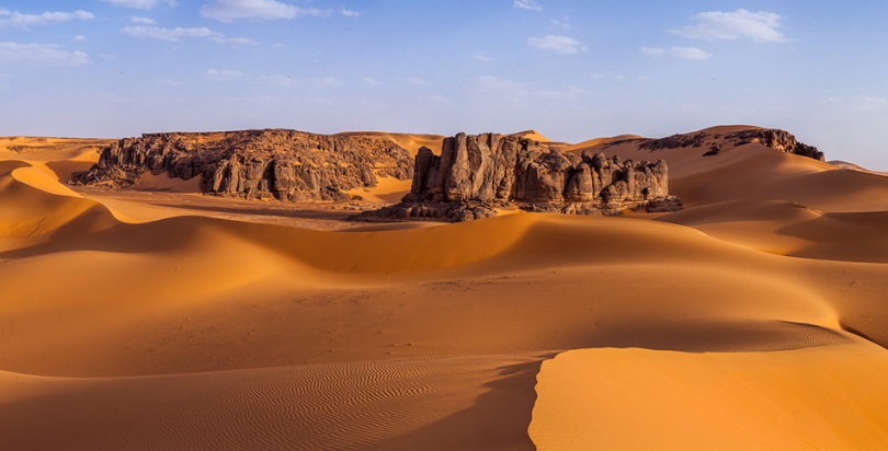 Gli archeologi hanno scoperto gli antichi resti di pesci nel deserto del Sahara