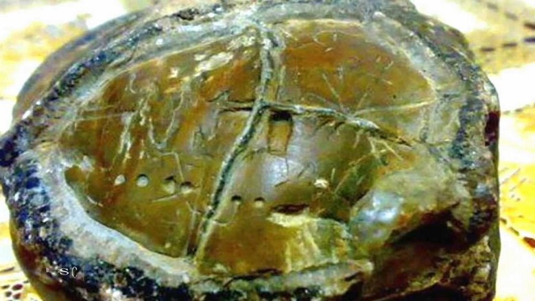 Un manufatto di centinaia di migliaia di anni dall'Indonesia è un altro mistero irrisolvibile.