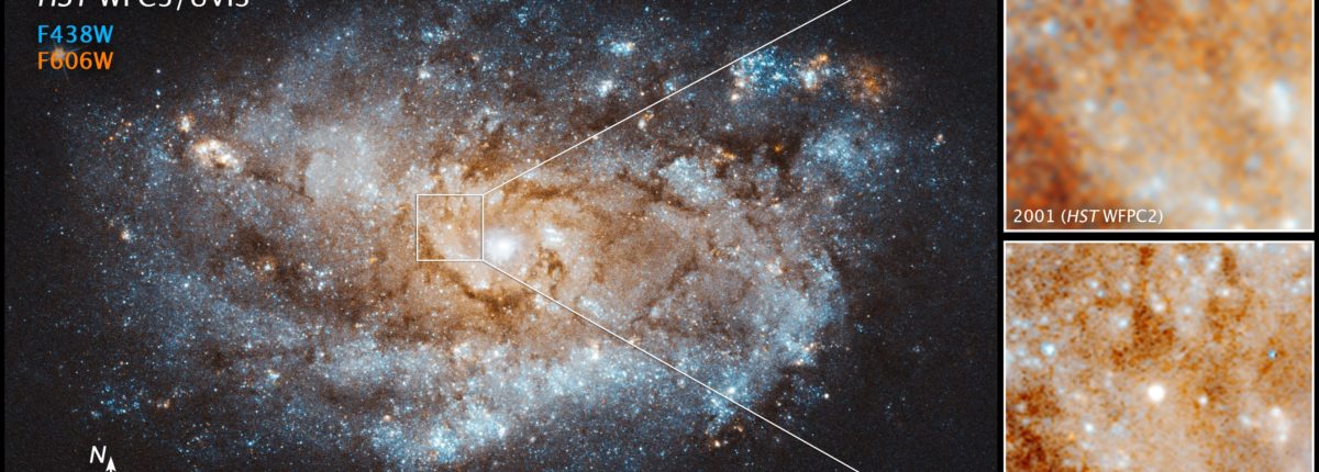 Gli astronomi assistono alla nascita di una nuova stella 