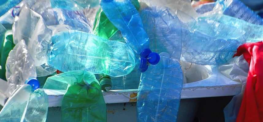 Il mutante batterico può abbattere i rifiuti di plastica in poche ore 