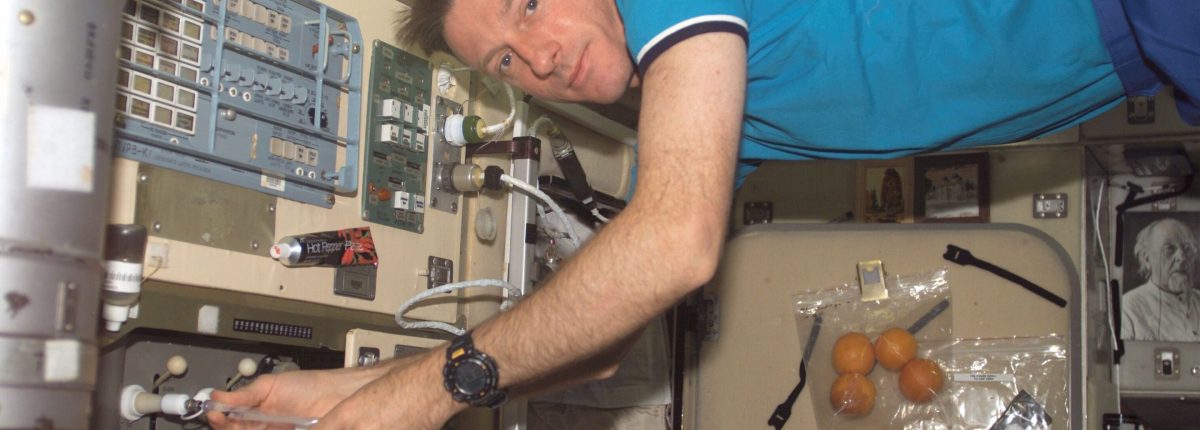 I batteri sulla Stazione Spaziale Internazionale non sono più pericolosi dei ceppi di terra 