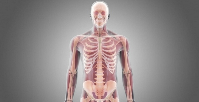 L'immortalità dell'uomo - forse nel prossimo futuro