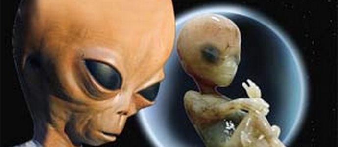 I gemelli scompaiono completamente dall'utero