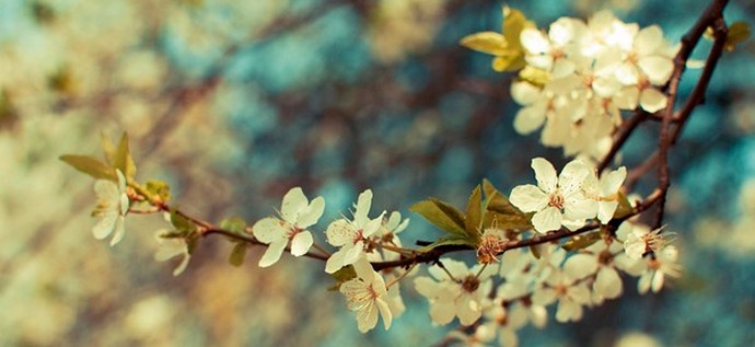 Cosa vogliono le donne l'8 marzo ... e gli uomini?