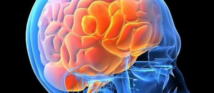 Il cervello umano ricorda le parole come immagini