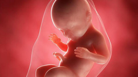 L'umanità lascia l'utero