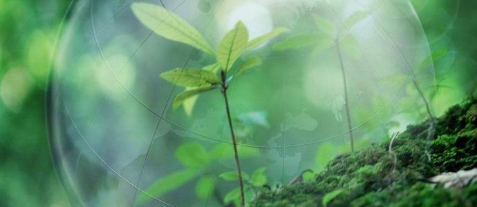 L'umanità è riuscita a utilizzare le risorse terrene per quest'anno