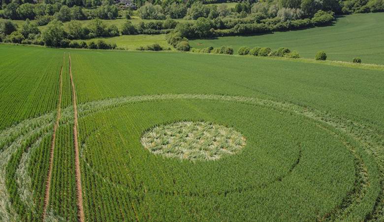 Negli ultimi tempi sono apparse quattro foto nel mondo.