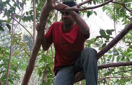 Marito a quattro zampe e albero della moglie