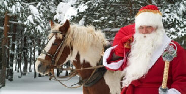 Ciò che l'anno del cavallo prepara per noi