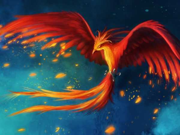 Phoenix - uccello 