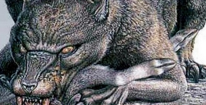 Chupacabra è apparso nella regione di Saratov