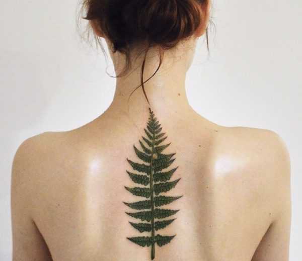 Tatuaggio di felce  
