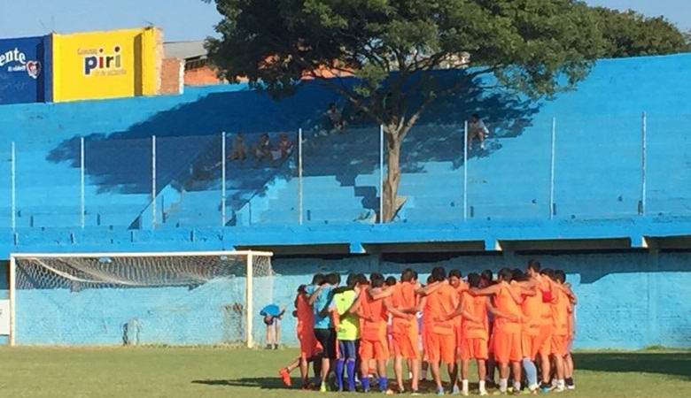 L'albero che cresce dalle tribune dello stadio di calcio è il più grande fan della squadra locale
