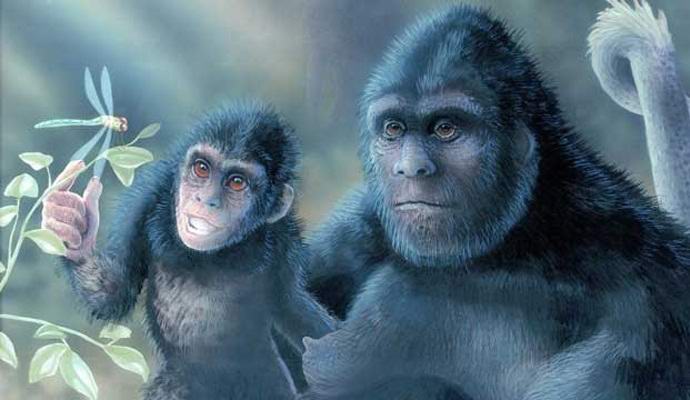 Un bambino bigfoot è entrato nel video