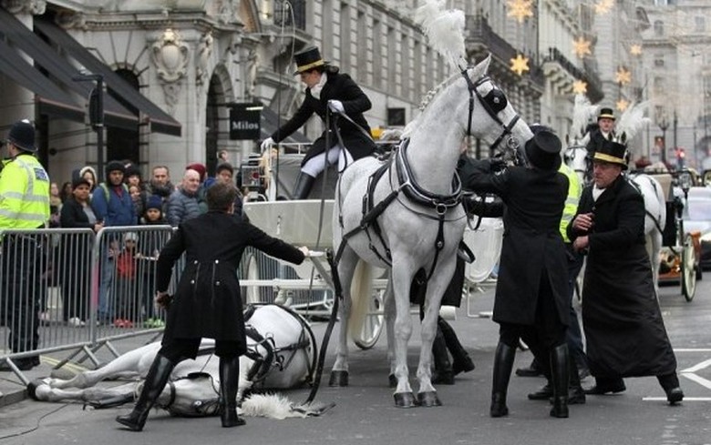 Per la Gran Bretagna, la caduta di un cavallo bianco non è di buon auspicio.