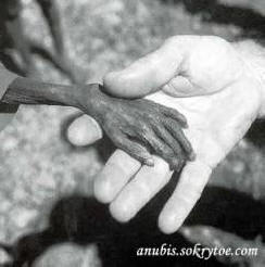 Contatti affidabili con gli alieni