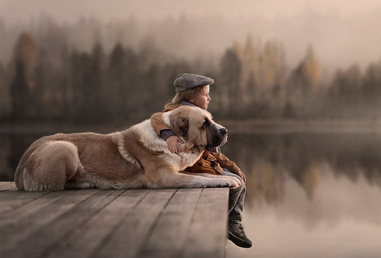 Due storie di lealtà dei cani