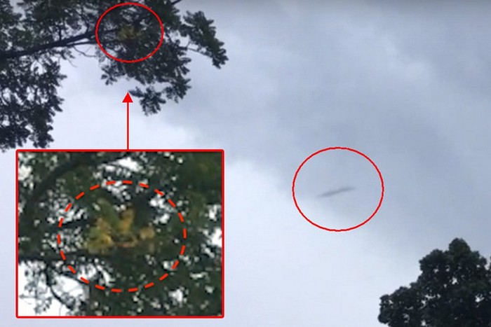 Doppia fortuna: colpo simultaneo di UFO e Bigfoot