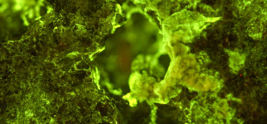 L'esperimento sulla ISS mostra come si possono estrarre fossili nello spazio con un'efficienza del 400% 