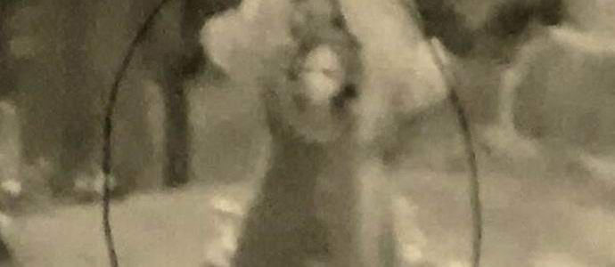 Il sensitivo ha fotografato un fantasma di una strega in un cimitero