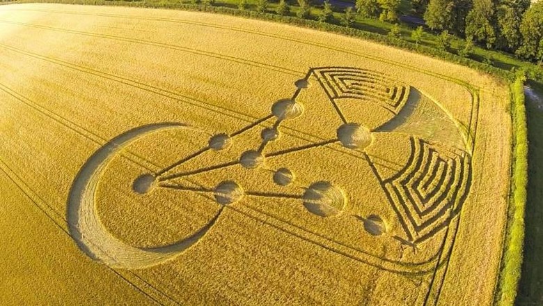 Un'altra spiegazione di cosa siano i cerchi nel grano