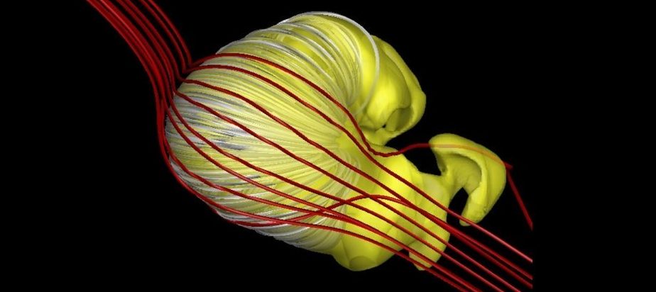 Questa strana forma potrebbe effettivamente essere l'aspetto della bolla magnetica del nostro Sole. 