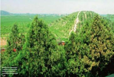 Indovinelli falsi e genuini della Cina