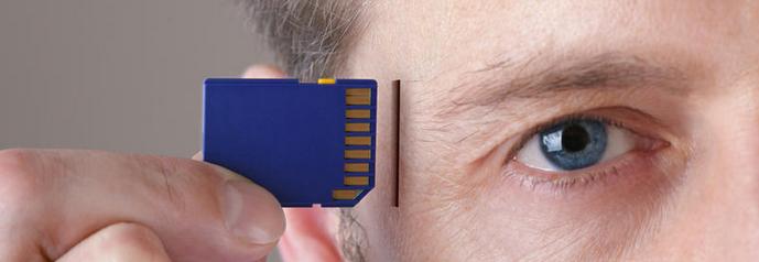 Memoria fenomenale - che cos'è?