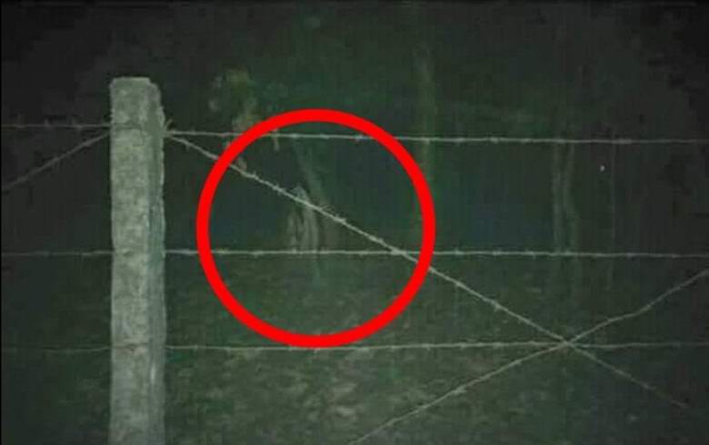 La foto fantasma ha suscitato scalpore nel campus indiano