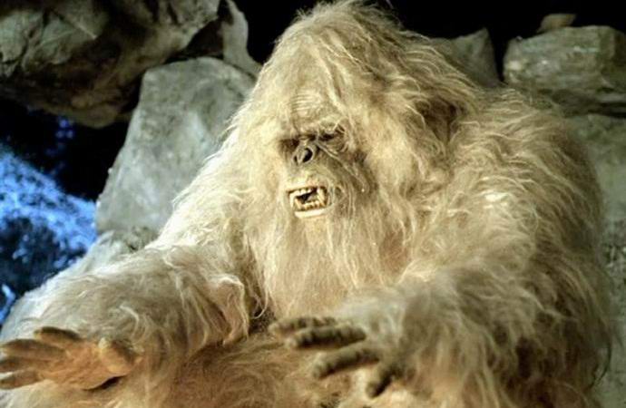 Il genetista ha scoperto che i yeti non sono un primate, ma un orso