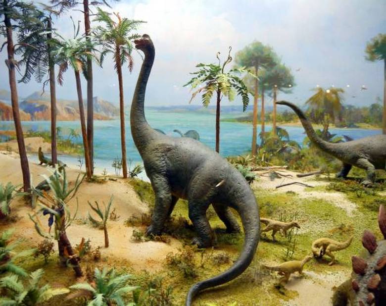 Osso di dinosauro gigante trovato in Francia