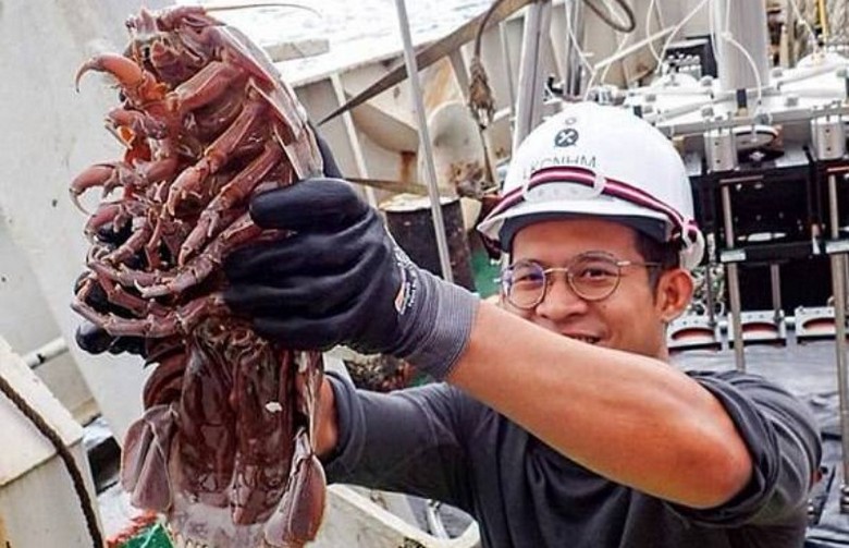 Un gigantesco scarafaggio sottomarino trovato sul fondo dell'oceano